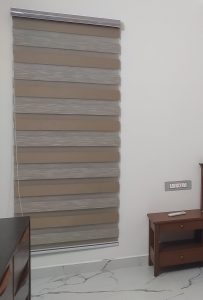 zebra blind 1