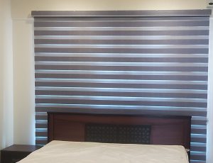 zebra blind 2